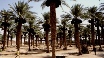 COMMENT JE SUIS ARRIVÉ À JERUSALEM ???