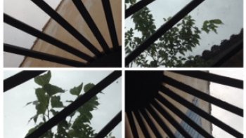 Des jeux de mots dans cette création de notre ordissinaute fayane qui fait danser les mots sur un air d'humour subtil. 