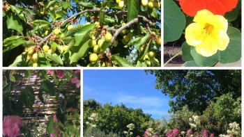 passez une agréable journée !