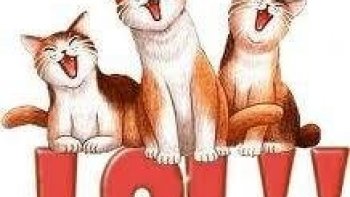 Chacun sa place, rien ne sert de vouloir tricher ...bien envoyé ..