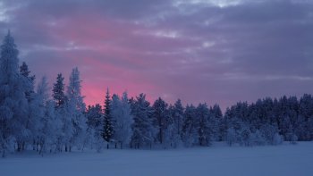 La Laponie, région située au nord de l'Europe, entre la Norvège, la Suède, la Finlande et un peu la Russie, possède de superbes paysages, et des couleurs souvent magiques.