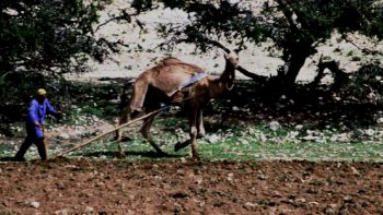 Je ne suis pas en retraite moi !!!!