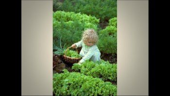 je rêve que le paradis est peut être là dans ces images....et  je vous le partage avec Louisette... bonne journée au pays de mes rêveries...