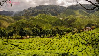 Notre ordissinaute Pauline nous fait également deviner une destination... À votre avis, dans quel pays trouve-t-on ce genre de paysage ?