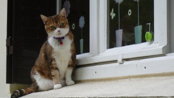 Rions , les ami(e)s ... On ne fait de mal à personne !
