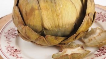 Les Artichaut se mangent tiède ou froid avec une bonne salade vinaigrette.