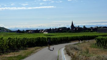 Encore peu connu des touristes ,contrairement à Kaysersberg son proche voisin distant d'environ 2kms,le village de Kientzheim situé au coeur des vignobles mérite vraiment une visite.