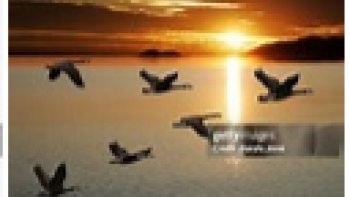 Robert Desoille, l'inventeur (seul? influencé par d'autres?), m'a un temps intrigué par sa technique du "rêve éveillé dirigé". J'en ai fait une expérience troublante en fin de nuit du 16 avril 2026, me retrouvant dans une immense plaine neigeuse, totalement déserte, totalement silencieuse, totalement glaciale. Seul, en ski nordique et sans la moindre appréhension. L'idée de mort m'habitait sans m'effrayer. J'ai écrit d'une traite sans ponctuation ni corrections le poème qui  suit. Un peu comme dans les expériences d'écriture automatique des surréalistes. Votre ressenti m'intéressera.
