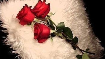 poeme ELLE ...Mon Etoile 