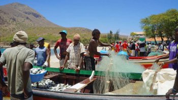En AFRIQUE occidentale, au sud du fleuve SENEGAL, les fleuves
Saloum, Gambie, Casamance drainent  cet état en grande partie formé
par des plaines inférieures à 200m. Grand producteur d'arachides,  sont
cultivés coton, maïs, riz et mil.
