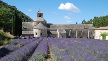 L'Abbaye Notre Dame de Sénanque est un monastère cistercien en activité, situé sur la commune de Gordes, dans le Vaucluse.
Fondé en 1148, il devient abbaye en 1150.
Aujourd'hui prieuré de Lérins, le monastère est toujours occupé par une communauté de moines cisterciens.
Le monastère reçoit des hôtes pour une retraite.