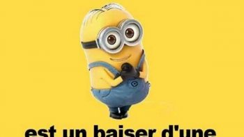 À regarder pour rester zen !