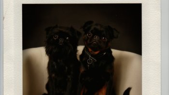 L'Euro 2016, on ne parle que de çà...