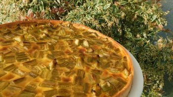 Connaissez-vous la tarte à la rhubarbe ?
Voici la recette donnée par notre chef ordissinaute Minou, miam !