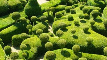 Le Printemps est enfin en route et les plus merveilleuse création de la nature vont bientôt parfumer nos jardins. Les fleurs ! leur charme, leur délicatesse, leur caractère, leurs couleurs....Rien n'est plus époustouflant et émouvant qu’une balade dans un magnifique jardin rempli de belles plantes et de jolis pétales.