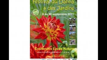 
Pour les amateurs de belles fleurs, un bouquet de Dahlias gorgées de couleurs, choisies au festival de Coutances... Bonne  journée à vous tous.
