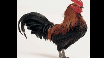 En quelques photos un petit aperçu du destin des retraités...