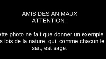 Les lois de la nature sont parfois "renversées"...