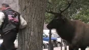 si vous êtes pressés !!!! prenez patience et restez zens...
