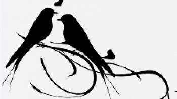 diapo à ne pas prendre au sérieux ,,,,j'ai enlevé les images trop ''olé olé '' pour ne pas choquer les âmes sensibles 
...bonne journée ..
