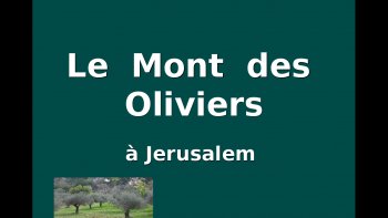 je vous propose  ce diaporama ...
, quelque  soit la sensibilité  de chacun   cela m'a paru tres beau.
.
ma belle soeur y est allé  ,et m'a envoyé ces images...