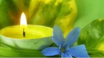 Madame  je suis prise par l'émotion  et un profond respect  ainsi que de l'admiration pour les valeurs  que vous diffusez ...le partage ,l'amour  le courage et l'humilité 

,,merci ..

 