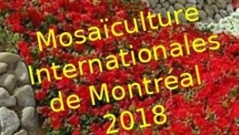  Une promenade   colorée  pour nous faire patienter en attendant le printemps ,,
