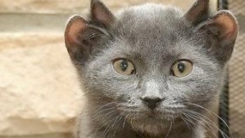 QUELQUES PHOTOS QUI NE VOUS LAISSERONT PAS INDIFFÉRENTS...
gardons le sourire,,,