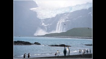 Mettons le cap sur l' Antarctique et allons voir si dans ce paradis blanc les manchots s'amusent vraiment dès le soleil levant (comme le chantait si bien Michel Berger).