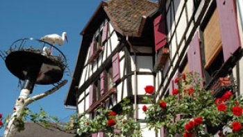 "Entrons dans l'ambiance' en passion partagée****