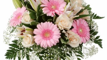 Je manque d'inspiration , alors  je publie une 2eme fois ce texte en vous souhaitant une très belle journée ..