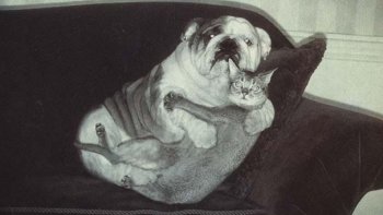 parfois les couples gardent une certaine "tendresse"  malgré les années de mariage, les maris sont  "trompeurs"........à vous de voir 