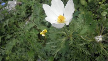 Une selection parmi tant d'autre