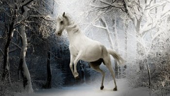 Bien qu'ayant eu rarement à m'approcher des chevaux...J'aime beaucoup ce bel animal et vous ?