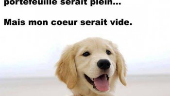 Ils ont aussi une vie intérieure!