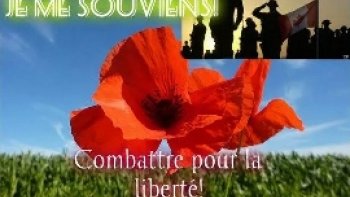 Souvenons-nous..........ils  sont  morts  pour  que nous  vivions libres.....Cultivons la fleur , de la,Liberté...afin  qu'ils   ne  soient  pas  morts  pour  rien!