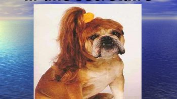 Les retraités se souviennent..........encore!