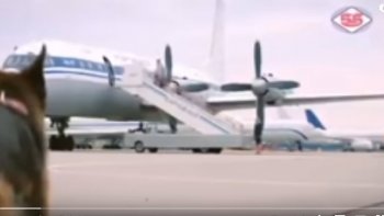 Âmes sensibles........s'abstenir