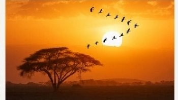 une destination riche en découvertes 