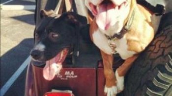 ET SI LA VIE POUVAIT ETRE DIFFERENTE ....???
