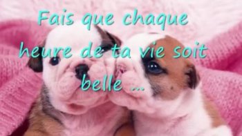 Quoi de plus doux que la tendresse ...! ...un mot ,,un regard ,,un geste partagé ,,,
c'est si facile ...
(source internet )  des photos  pleines de douceur sur une musique  incontournable par un chanteur  que j'aime beaucoup,,,
(Daniel GUICHARD )  