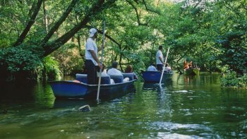 Le courant d'Huchet, sur les communes de Léon et de Moliets et Maa dans les Landes, est célèbre pour sa «Réserve du courant d'Huchet» : une forêt-galerie de type amazonienne qui se visite en barque.