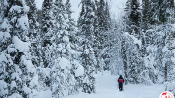 Notre ordissinaute Celine Simon nous met au défi de trouver où cette magnifique photo a été prise... Alors, avez-vous trouvé ?