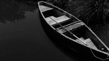 Suite et FIN de la nouvelle de Guy de Maupassant..