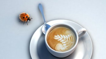 VIve ma vieille cafetière!
information sur les dangers..des dosettes....
Bonne dégustation, aprés tout ça......