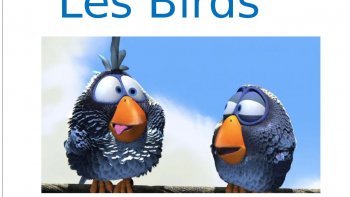 Les oiseaux bavards sont de retour...pour meubler le silence......!