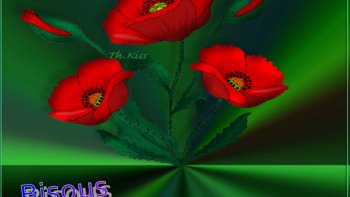 Un petit texte libre sans prétention à l'intention d'une fleur de 13 ans qui a trop hâte de grandir...