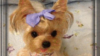 Tout simplement formidable ... waaouh !!
Je veux bien être réanimée par ce "sauveteur" !!