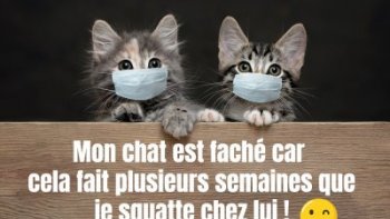 quelques images pour   nous dérider (gratuitement  et sans produits chimiques )