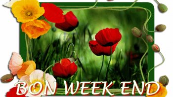    SACRÉE SOIRÉE ... Chacun son interpretation ...